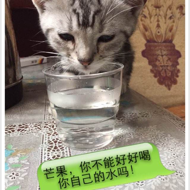 办机动车年检标志